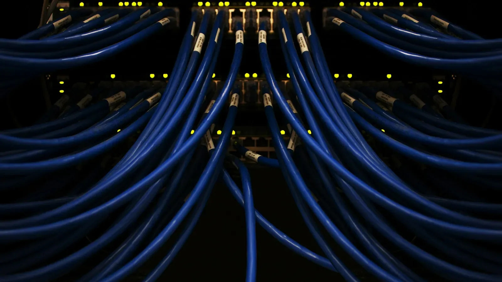 A bunch of blue wires connected to each other.