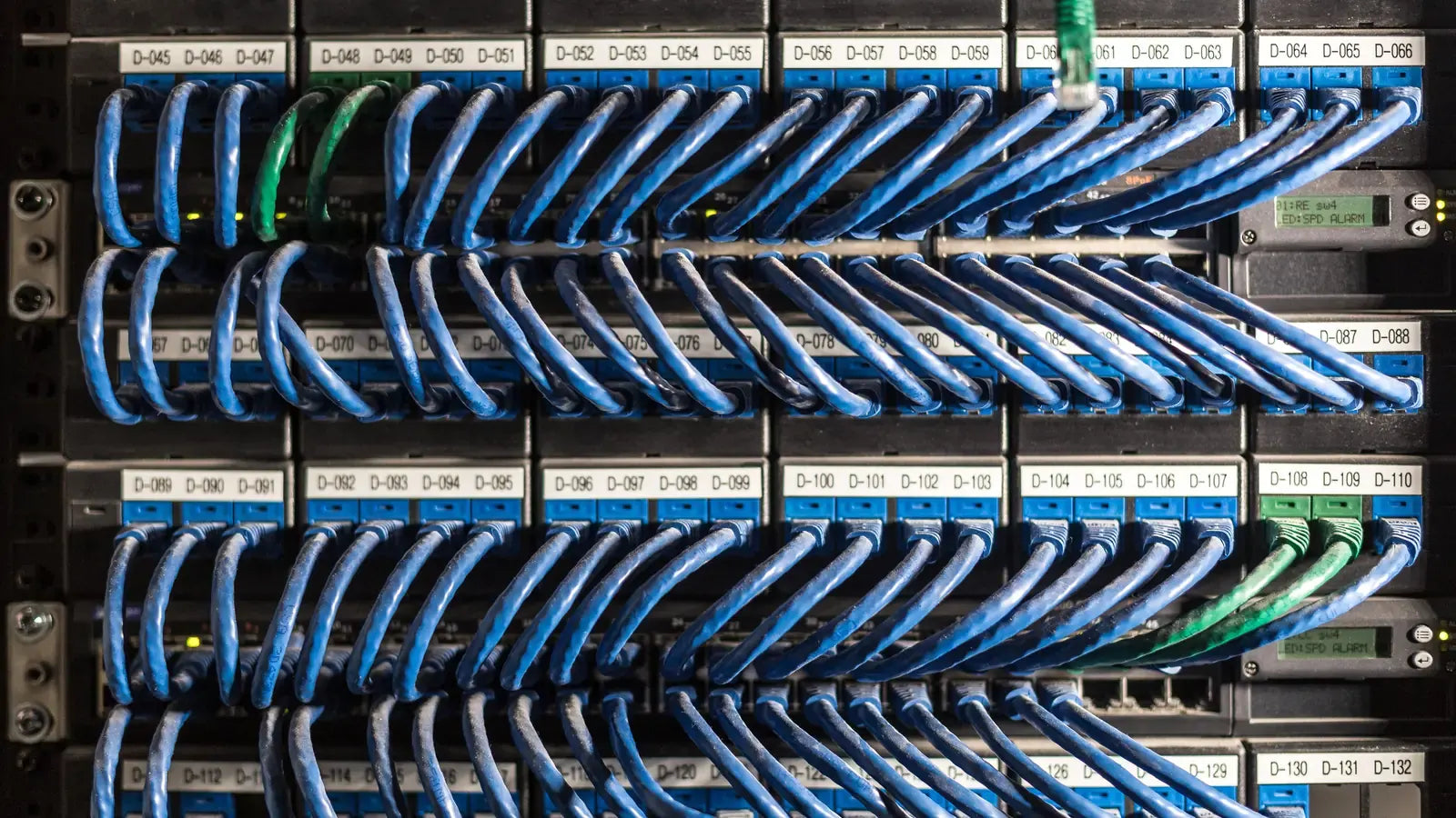 Network switches connected with labelled blue Ethernet cables.